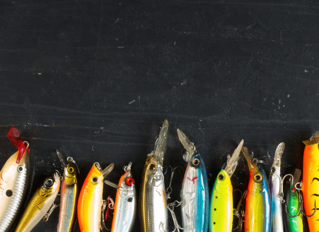 tous les types de leurres durs pour la pêche